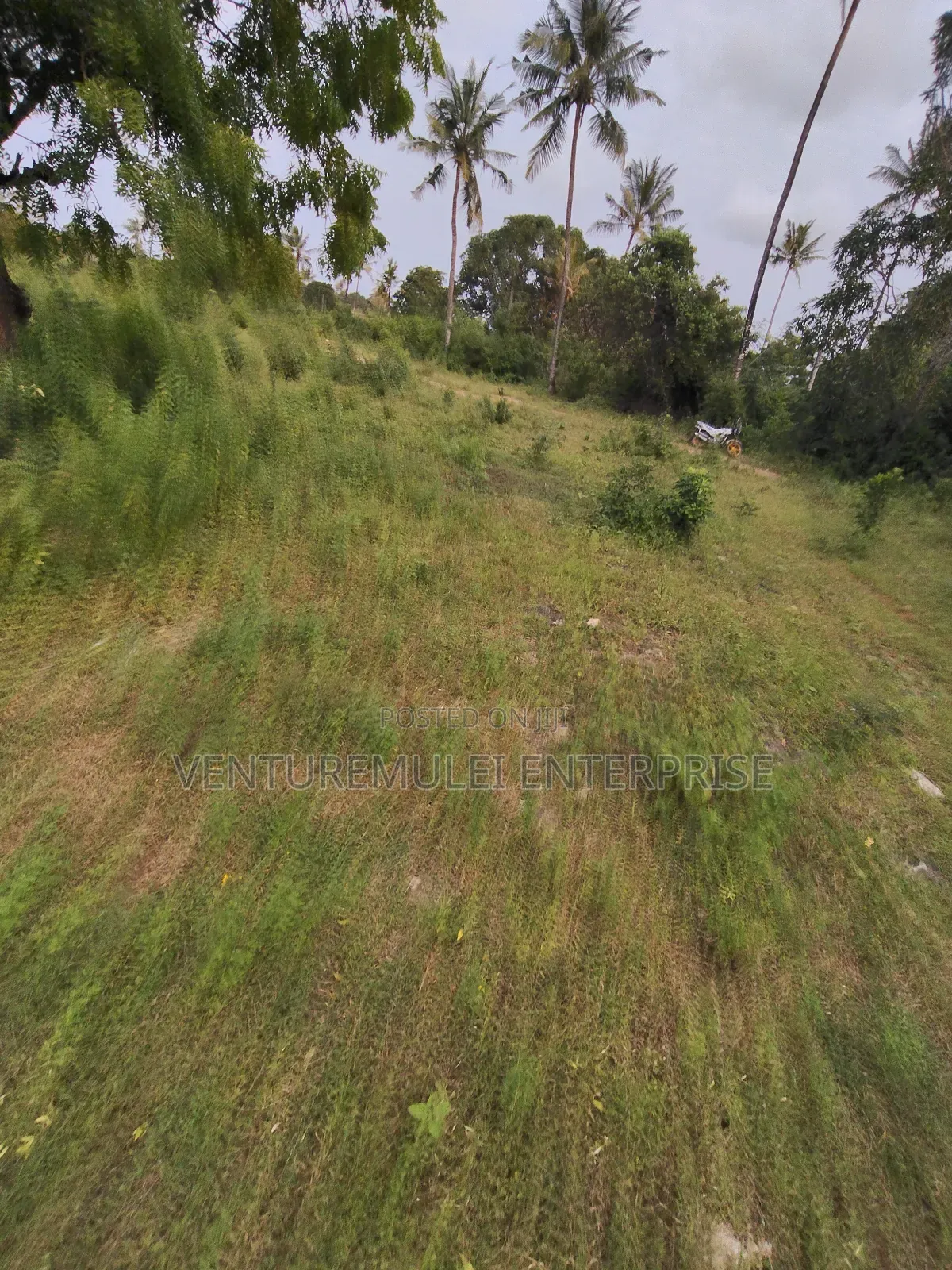 Kilifi Tezo Kwa Chokwe