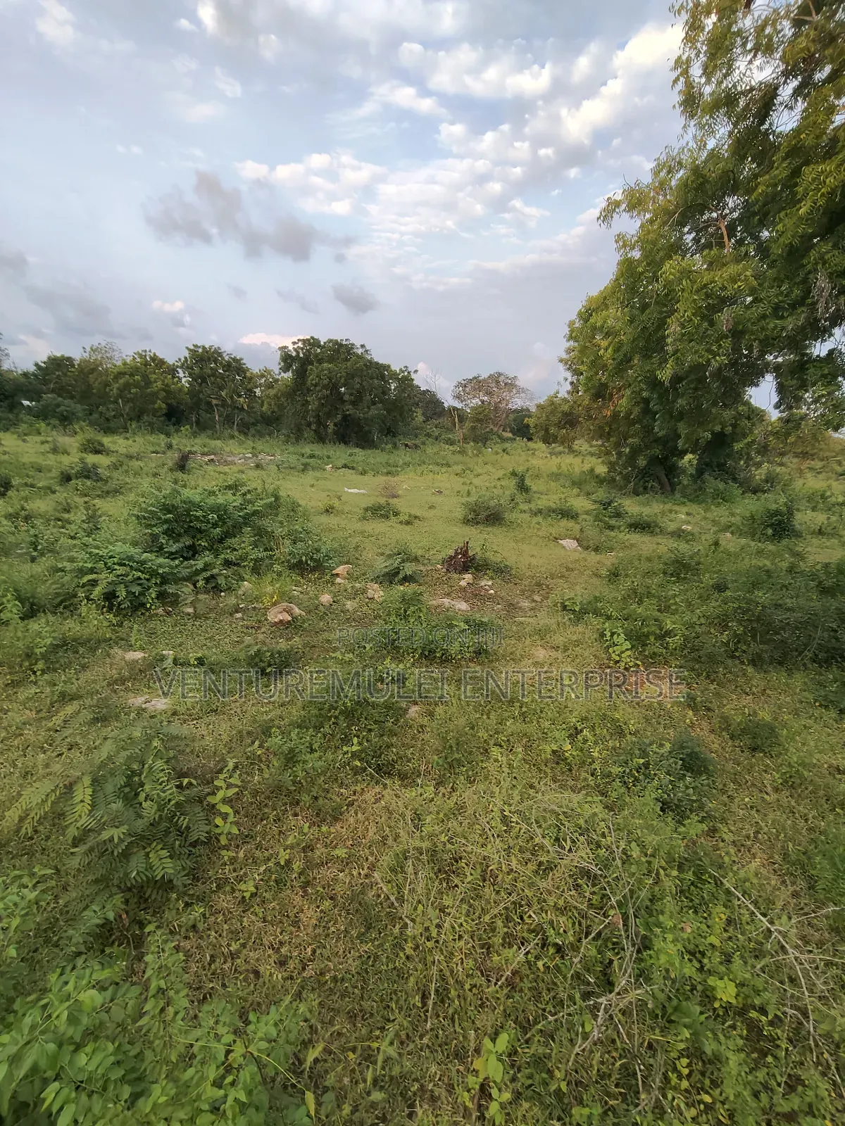 Kilifi Tezo Kwa Chokwe