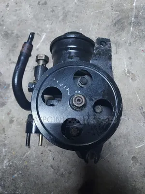 Power Steering Pump/Cartridge 110/91 5a