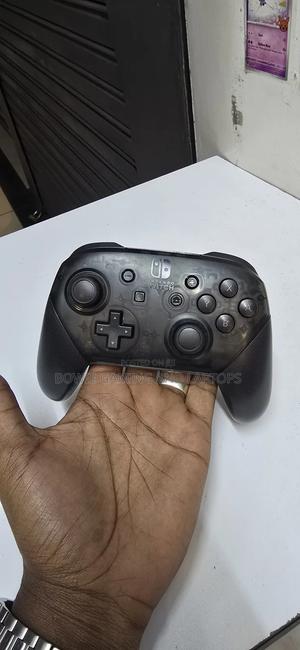 Nintendo Switch Pro Controller - main view