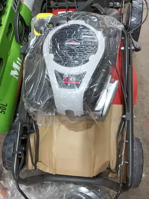 Most Suitable 161cc Briggs and Strattom Lawn Mower