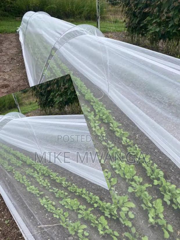 Nurseries Insect Nets 2.5m by 50m - thumbnail 4