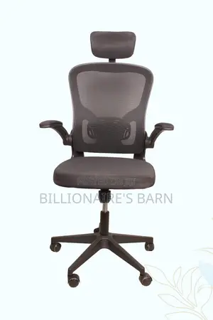 Office, Elite Grey Ergonomic Office Chair