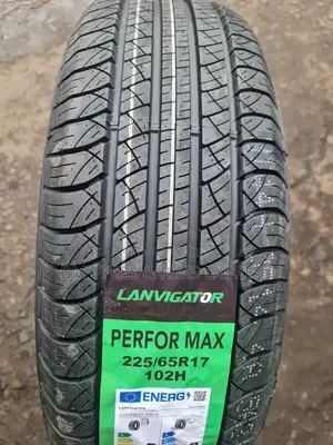 225 /65 R17 Lanvigator Tyres (Highway)
