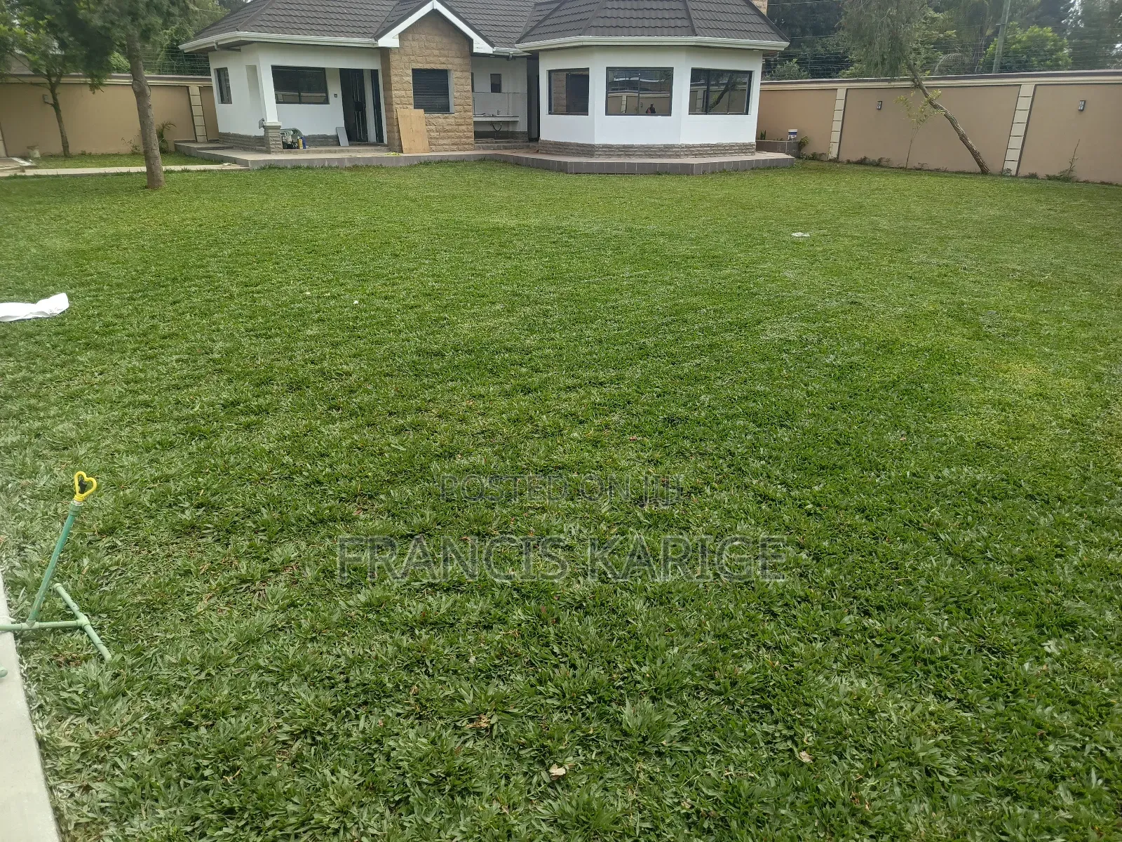 Frankscape