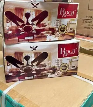 Small Fan, Big Impact Roch Ceiling Fan 24 Inch