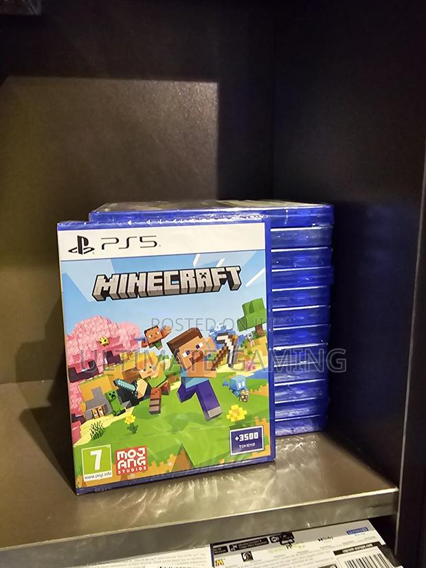 Ps5 Minecraft - main view