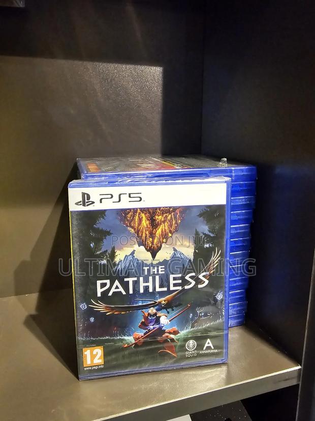 Ps5 the Pathless - main view