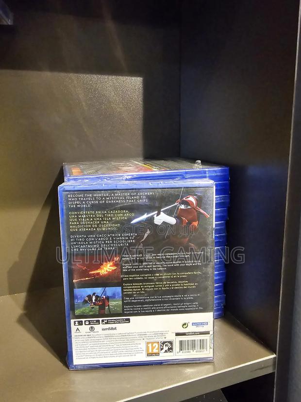 Ps5 the Pathless - thumbnail 2