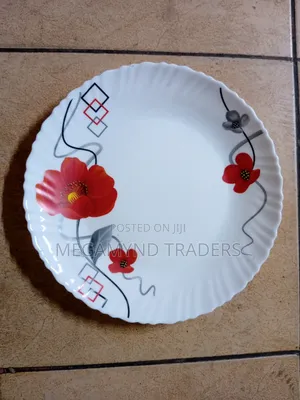 Glass Dinner Plates 6pc