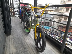 Size 20 BMX Stunt Bike