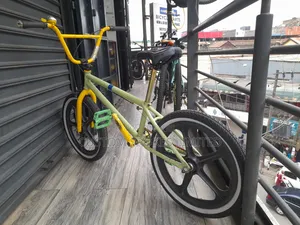 Size 20 BMX Stunt Bike