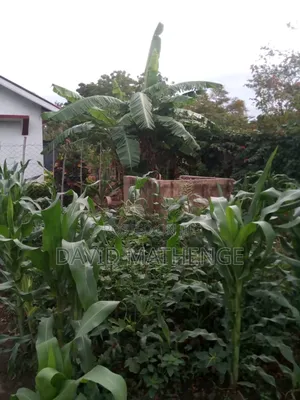 3bdrm House in Near Kma Flats, Mtwapa for sale
