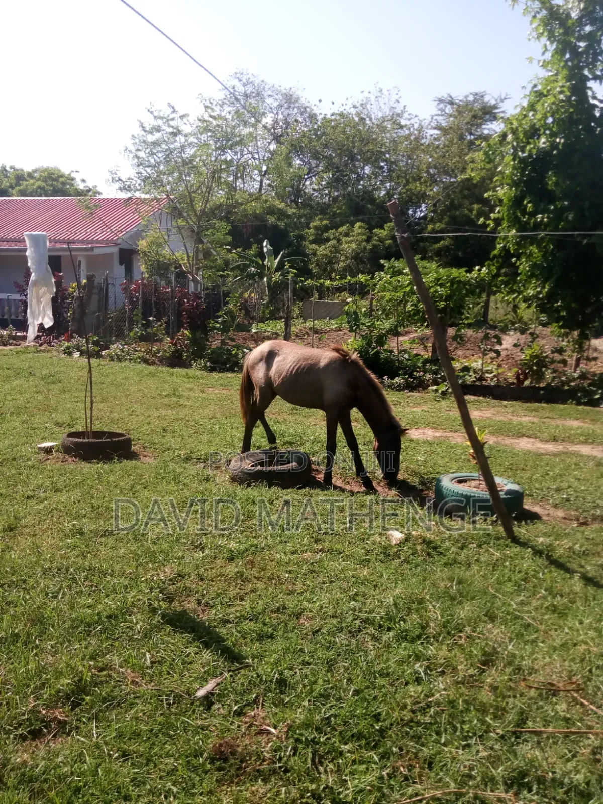 3bdrm House in Near Kma Flats, Mtwapa for sale