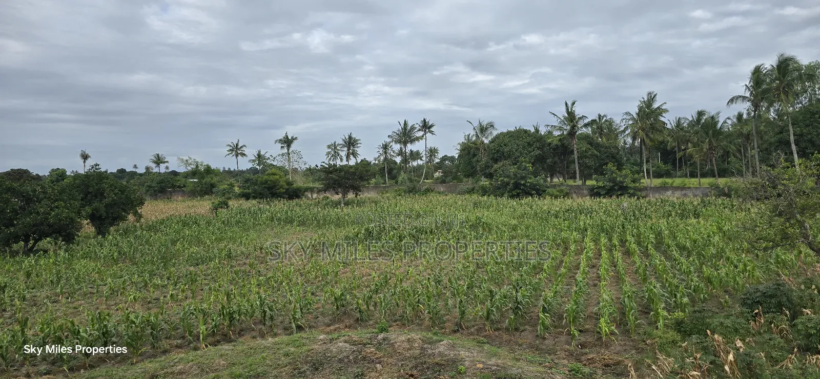 6-Acre Parcel for Sale – Bomani, Kilifi County