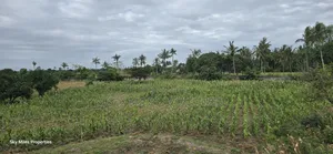 6-Acre Parcel for Sale – Bomani, Kilifi County