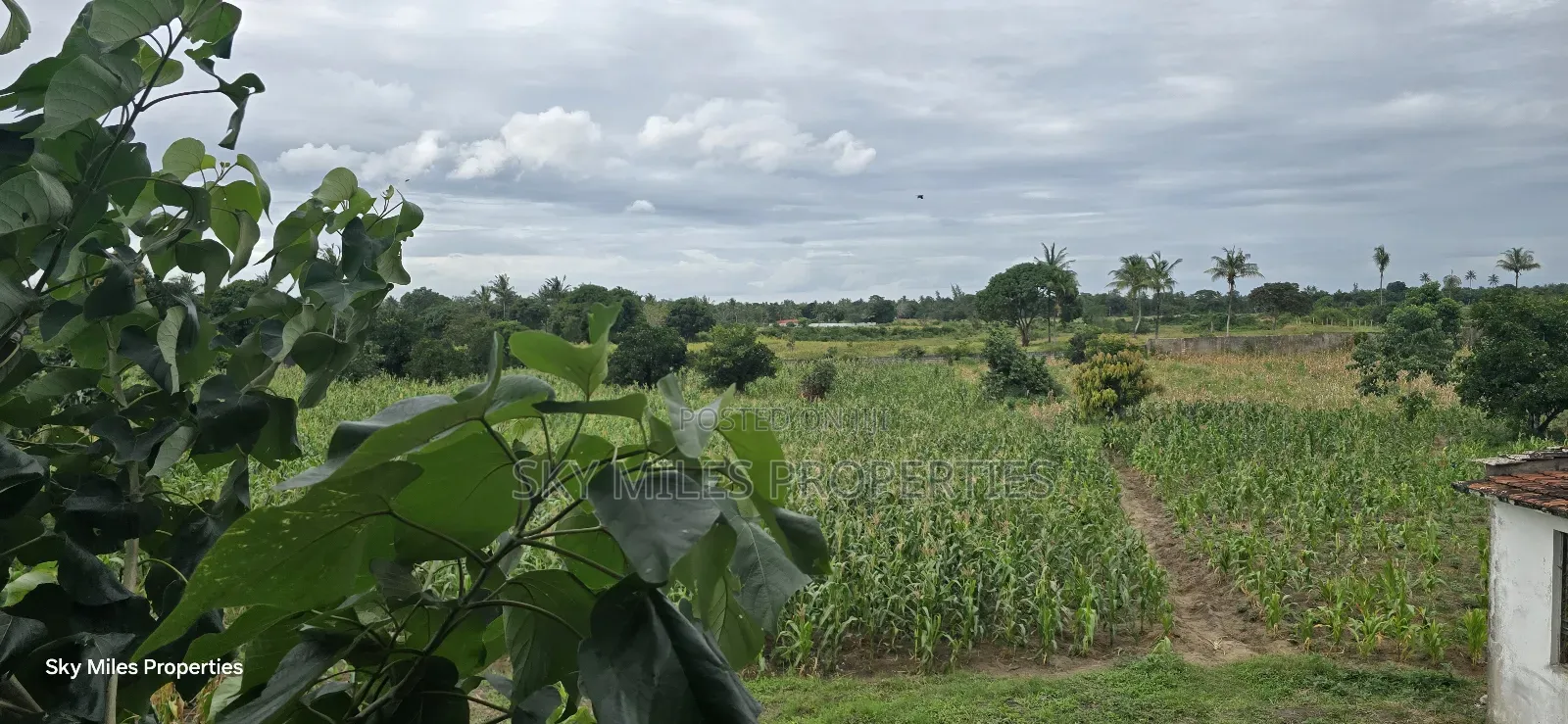 6-Acre Parcel for Sale – Bomani, Kilifi County