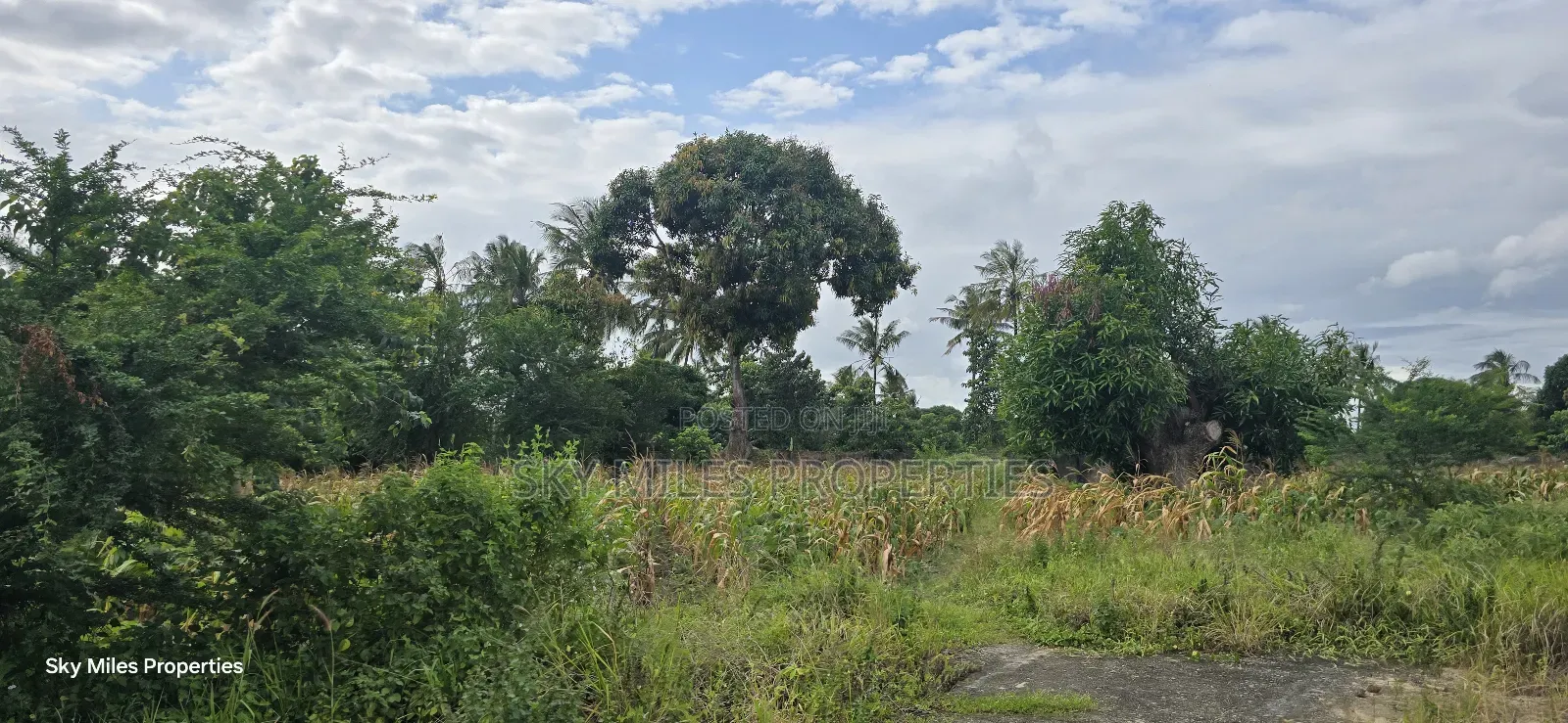 6-Acre Parcel for Sale – Bomani, Kilifi County