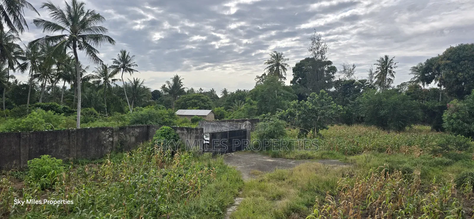 6-Acre Parcel for Sale – Bomani, Kilifi County