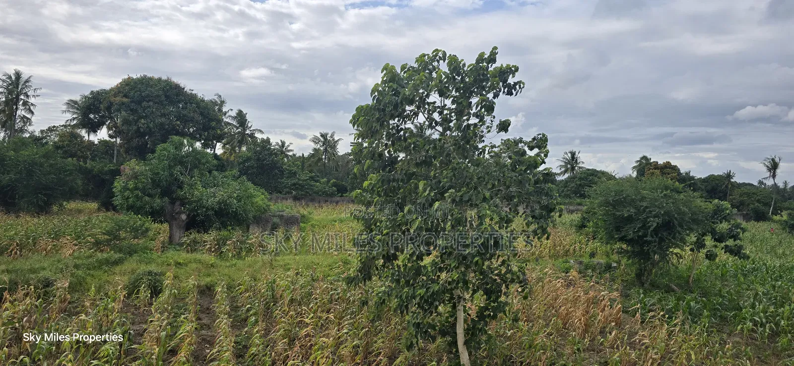 6-Acre Parcel for Sale – Bomani, Kilifi County