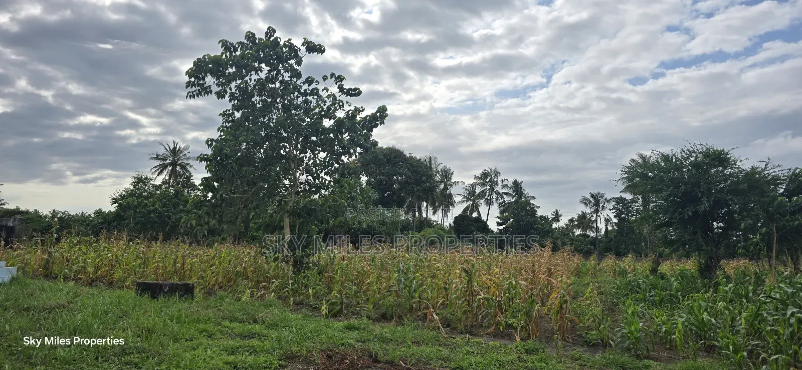 6-Acre Parcel for Sale – Bomani, Kilifi County