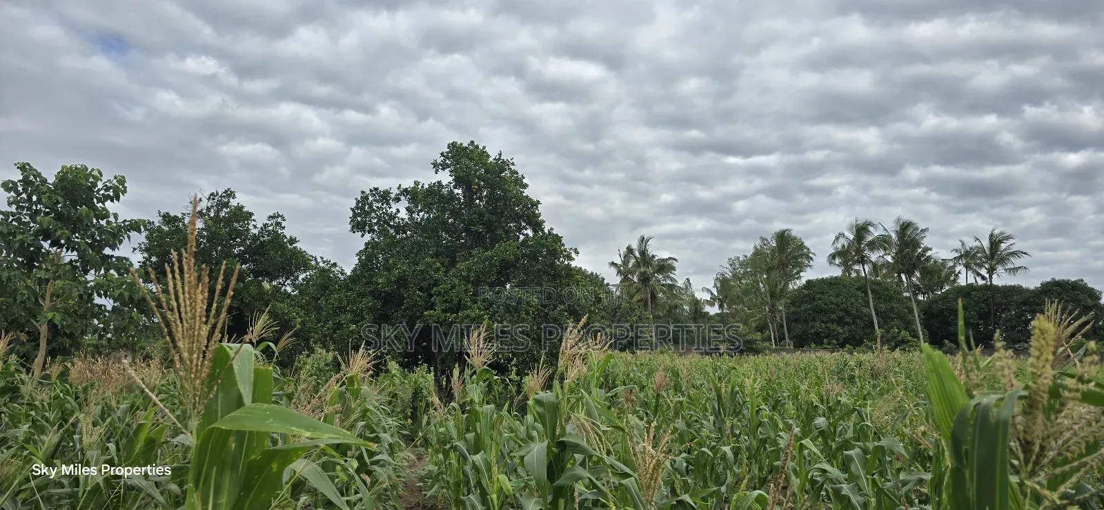 6-Acre Parcel for Sale – Bomani, Kilifi County