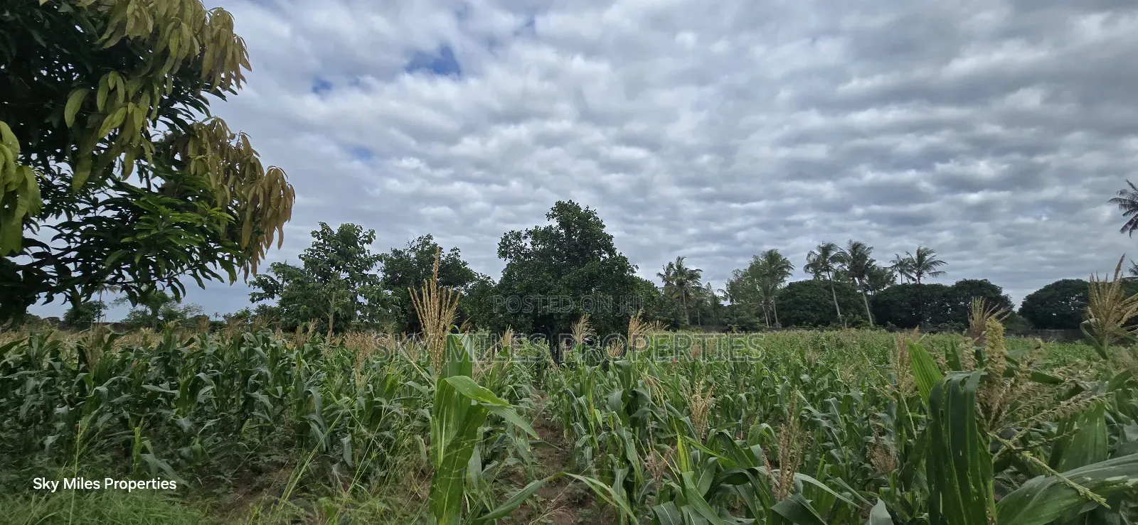 6-Acre Parcel for Sale – Bomani, Kilifi County
