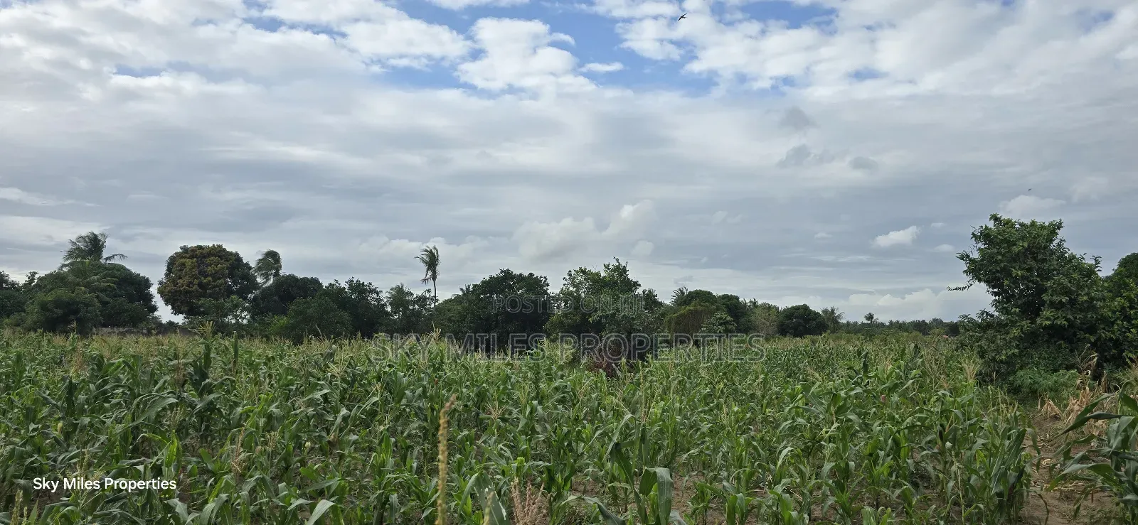6-Acre Parcel for Sale – Bomani, Kilifi County