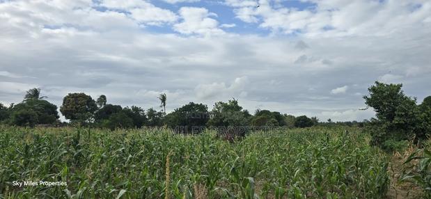 6-Acre Parcel for Sale – Bomani, Kilifi County - thumbnail 13