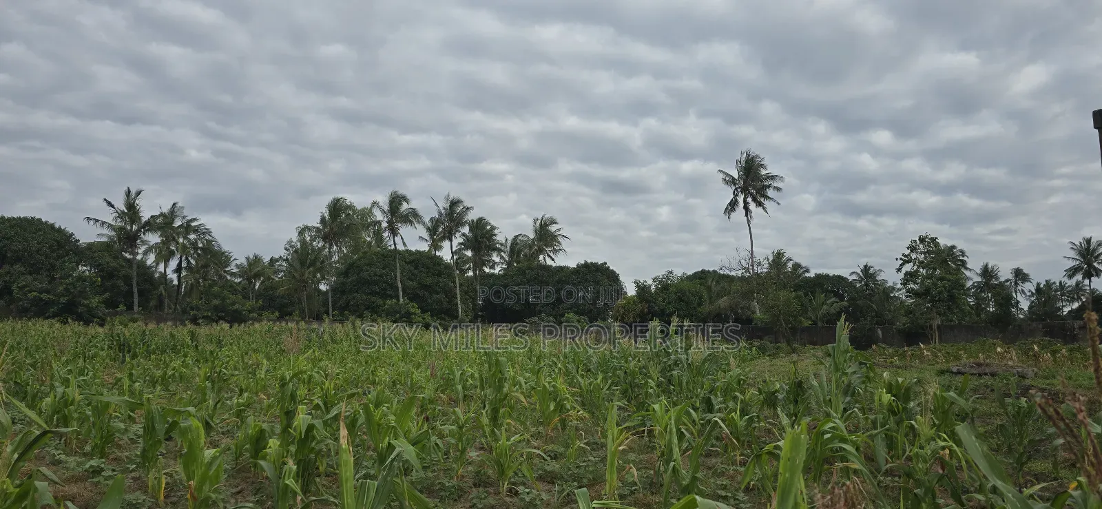 6-Acre Parcel for Sale – Bomani, Kilifi County