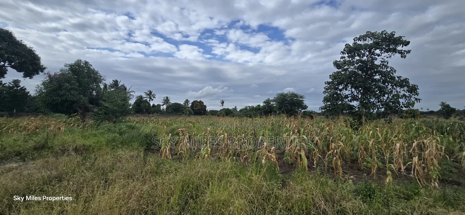 6-Acre Parcel for Sale – Bomani, Kilifi County