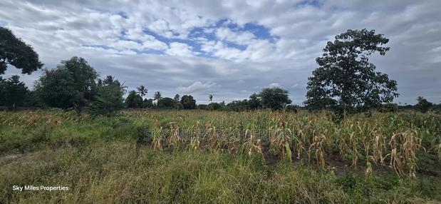 6-Acre Parcel for Sale – Bomani, Kilifi County - thumbnail 16