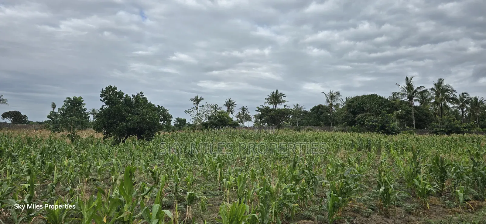 6-Acre Parcel for Sale – Bomani, Kilifi County