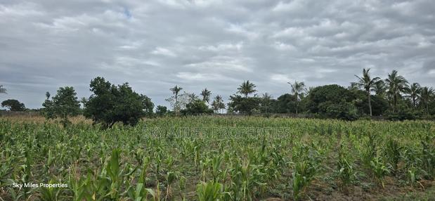 6-Acre Parcel for Sale – Bomani, Kilifi County - thumbnail 17