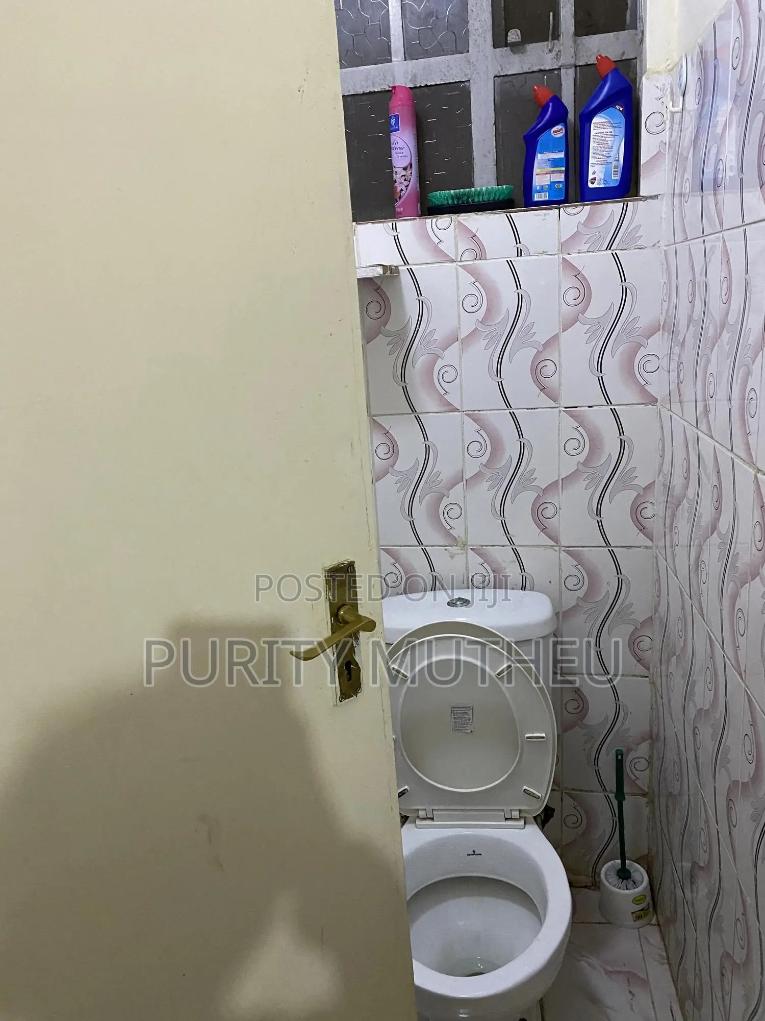 Furnished 1bdrm Bedsitter in Lumumba Drive, Roysambu for rent