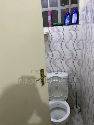 Furnished 1bdrm Bedsitter in Lumumba Drive, Roysambu for rent