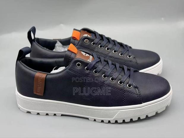 Timberland Casual Sneakers All Colors And Sizes