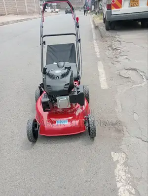 Astramilano Lawn Mower Machine/4hp