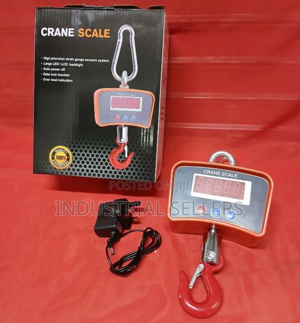 500kg Digital Weighing Scale / Crane Scale