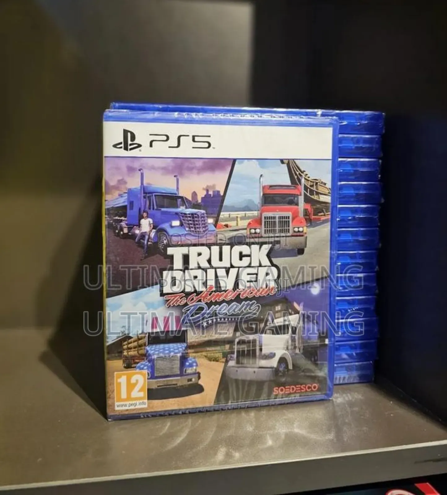 Ps5 Truck Driver the American Dream