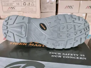 Tiger Master Boot