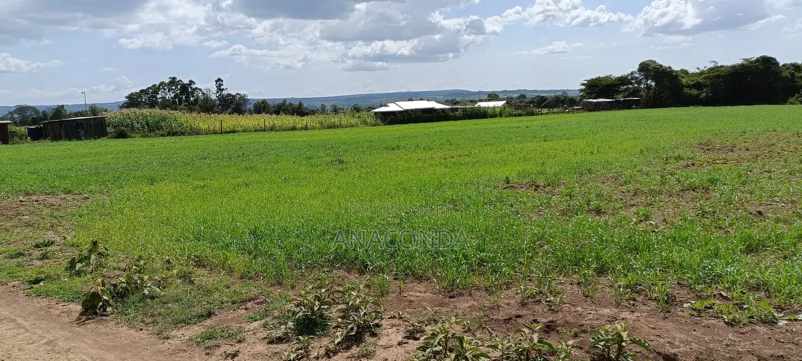 3 Acres of Land for Sale in Karandi Nyahururu .