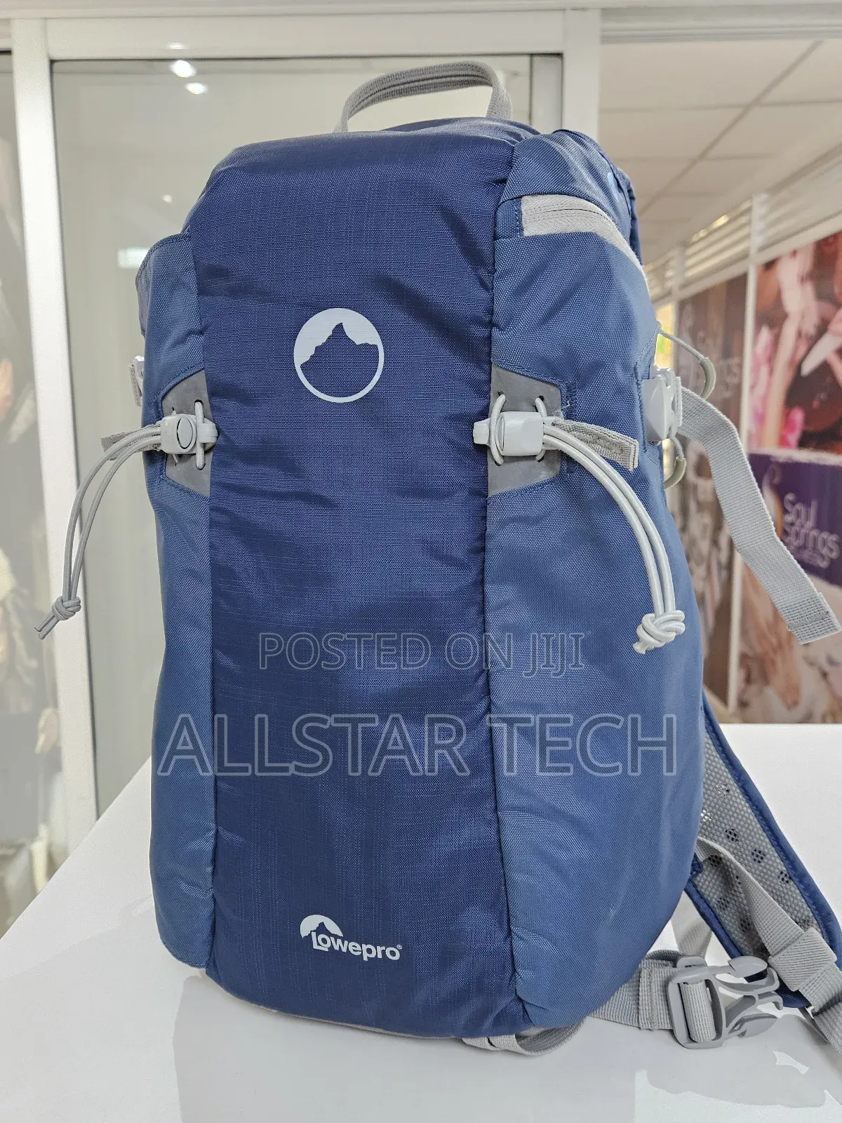Lowepro Flipside Sport 10l Aw Daypack (Blue/Light Gray)