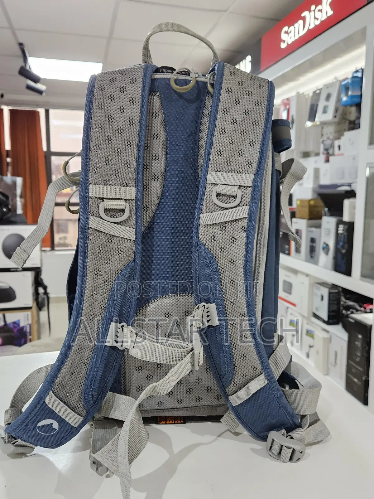Lowepro Flipside Sport 10l Aw Daypack (Blue/Light Gray)