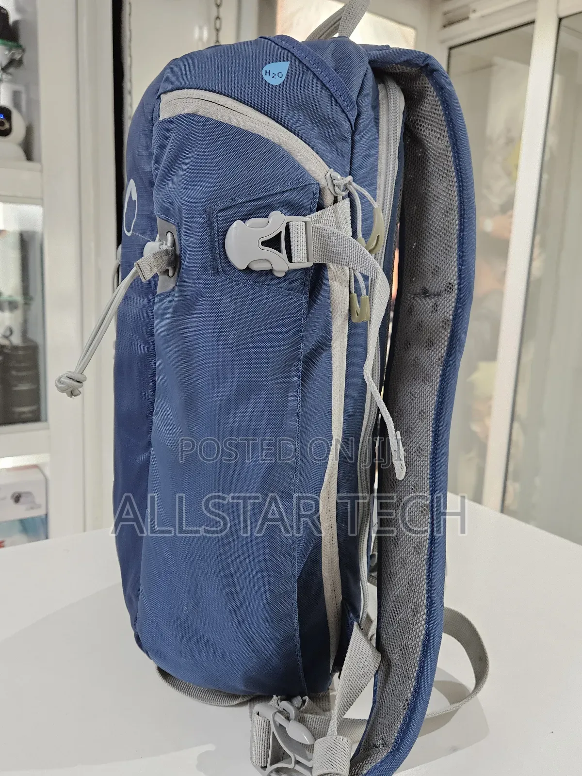 Lowepro Flipside Sport 10l Aw Daypack (Blue/Light Gray)