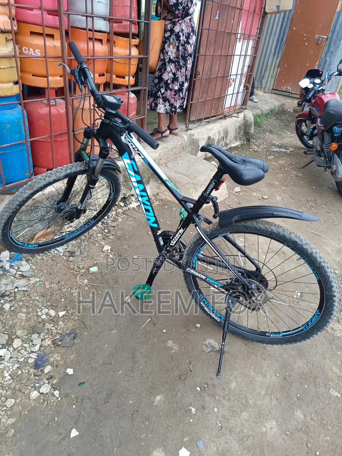 Original Canyon Bike