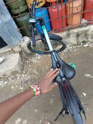 Original Canyon Bike