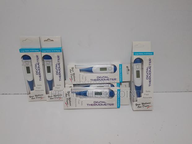 Digital Thermometer - main view