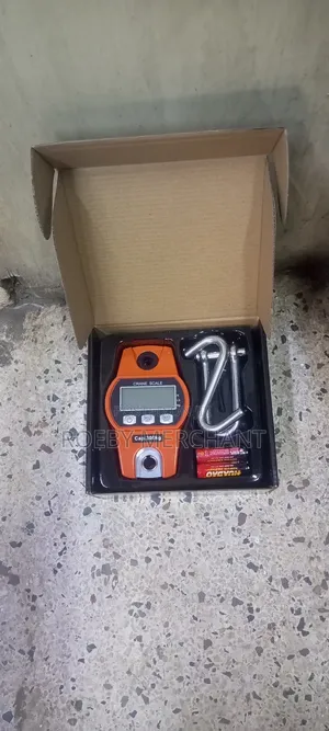 Electronic Crane Scale 300kg