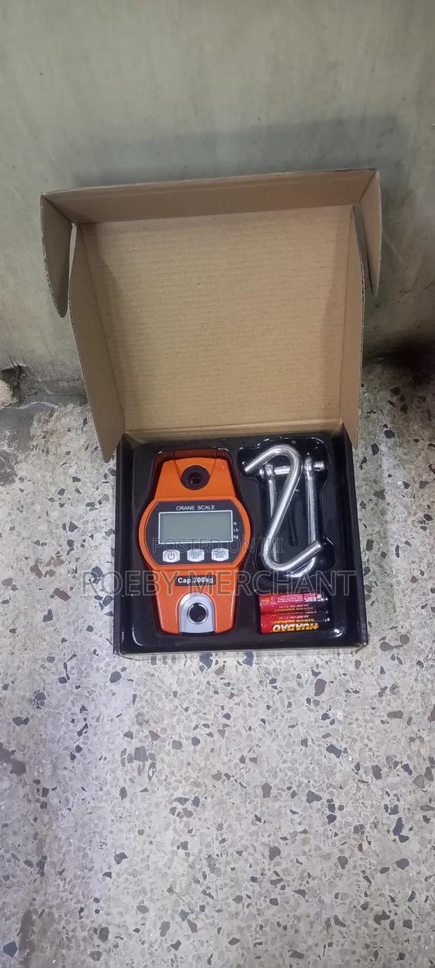 Electronic Crane Scale 300kg - main view